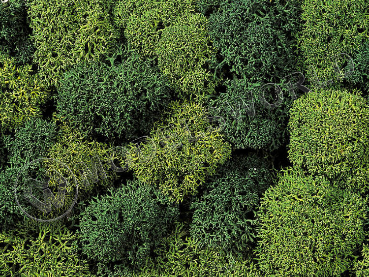 Макет лишайник, зеленый микс, 35 г - фото 1