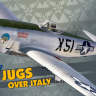 Склеиваемая пластикова модель самолета Jugs over Italy Масштаб 1:48