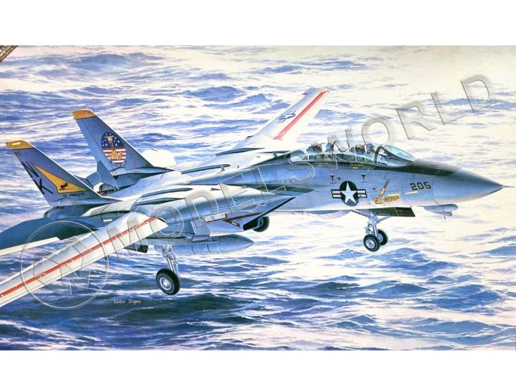 Склеиваемая пластиковая модель Истребитель Grumman F-14A Tomcat "Atlantic Fleet Squadrons". Масштаб 1:48 - фото 1