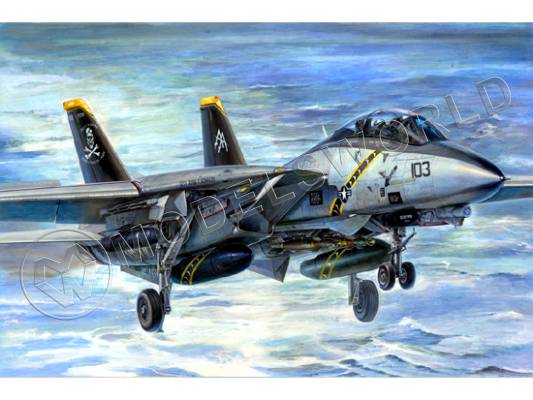 Склеиваемая пластиковая модель Американский истребитель F-14B Tomac. Масштаб 1:32
