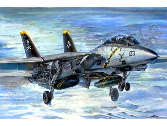 Склеиваемая пластиковая модель Американский истребитель F-14B Tomac. Масштаб 1:32 - фото 1