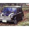 Склеиваемая пластиковая модель Old Mini Cooper 1.3i. Масштаб 1:24