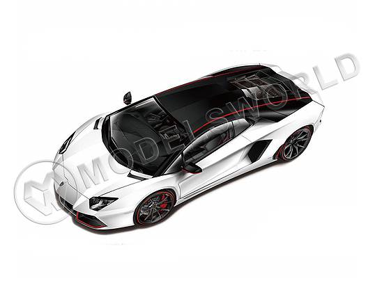 Склеиваемая пластиковая модель автомобиль Lamborghini Aventador Pirelli Edition '15. Масштаб 1:24 - фото 1