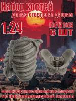 Набор костей для диорам. Кости тела. 6 шт. Масштаб 1:24