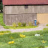 Макет трава пучки XL "цветущие", 12 мм. Масштаб H0