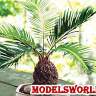 Набор для постройки 3D модели пальма Sago
